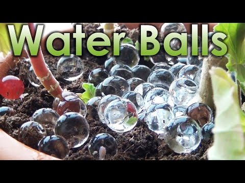 What is Water Balls? Sodium Polyacrylate and Chemistry!