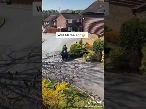 UK Neighbor &amp; Kids Sneaking Out During Lockdown