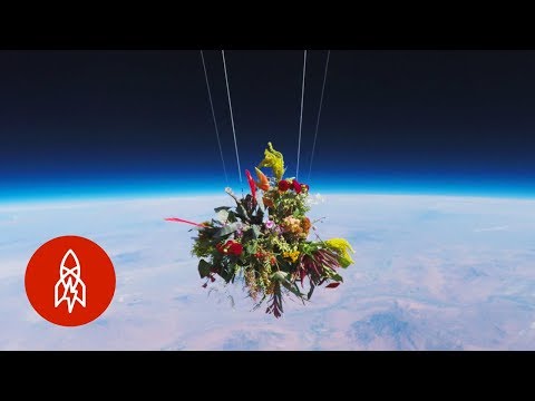 Launching Flowers Into Outer Space