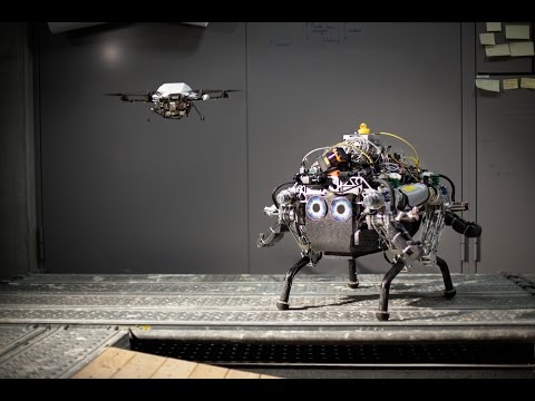 Collaborative Navigation for Flying and Walking Robots