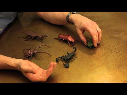 Robert Lang&#039;s Origami Insects