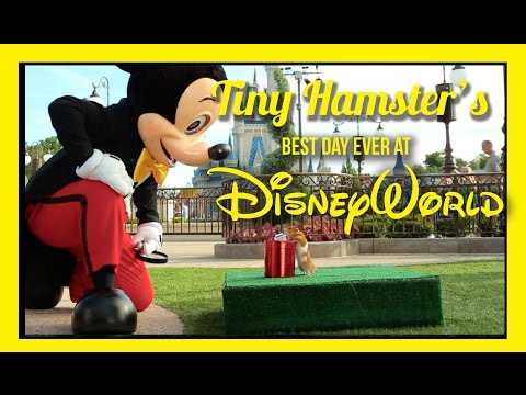 Ep. 9 - Tiny Hamster&#039;s Best Day Ever at Walt Disney World