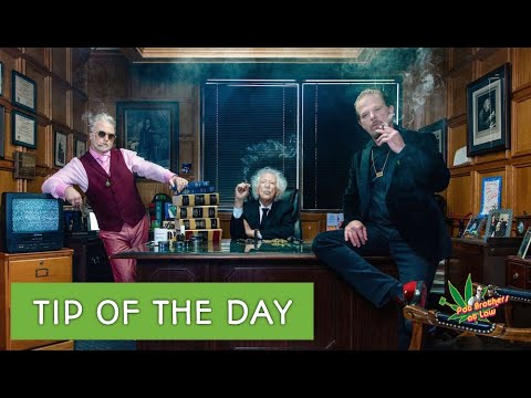 Pot Brothers at Law | One MINUTE TIP of the day