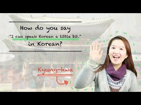 How Do You Say &quot;I can speak Korean a little bit&quot; In Korean? [TalkToMeInKorean]