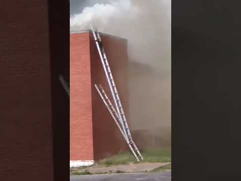 Firefighters set up a ladder for racoons to escape a fire