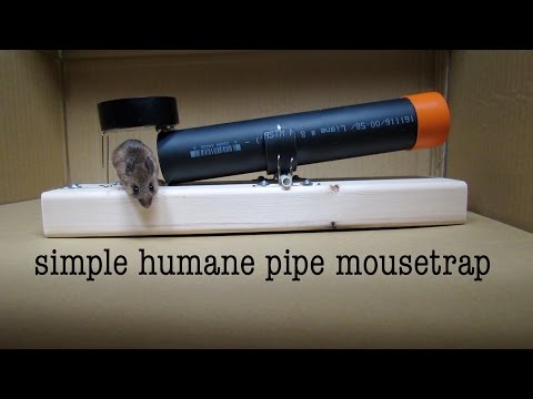 How to Make ● a Simple Tube Mousetrap ( that works ! )