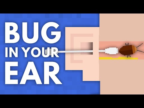 What If a Bug Gets Stuck In Your Ear?