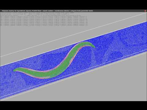 OpenWorm: Parametrically-improved full-worm body locomotion simulation