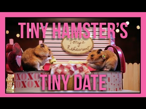 Ep. 5: Tiny Hamster&#039;s Tiny Date - Valentine&#039;s Day Edition